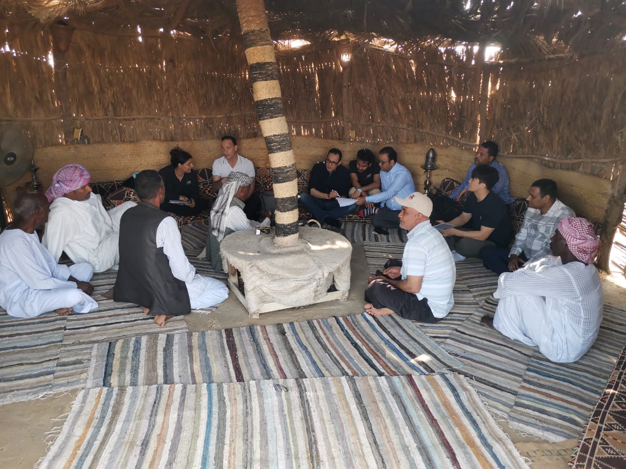 Mangrove restoration project image 2