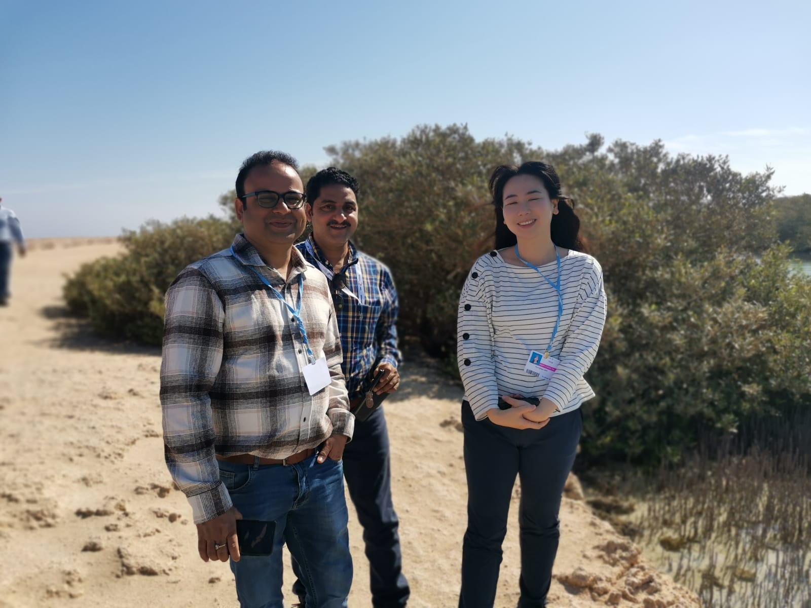 Mangrove restoration project image 4