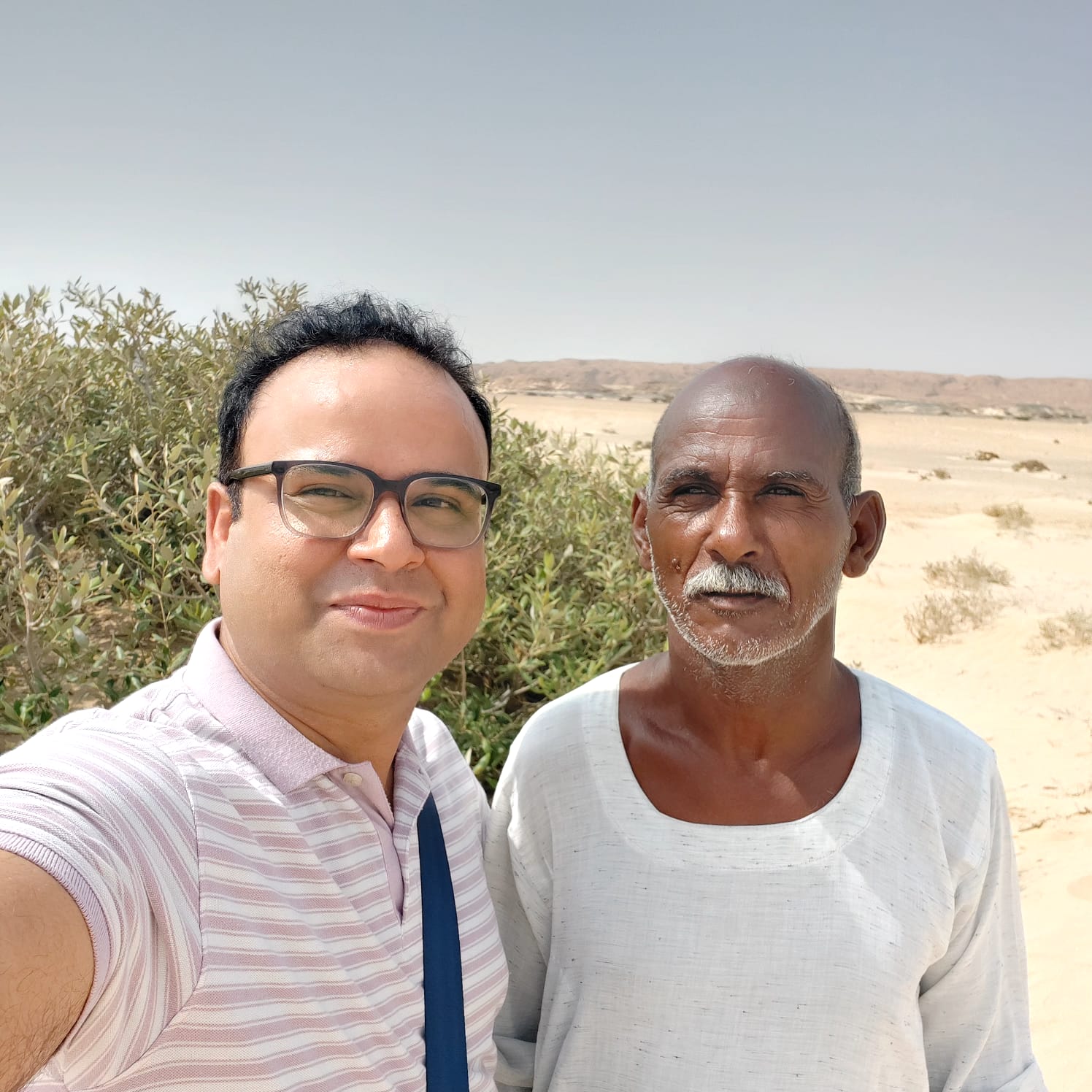 Mangrove restoration project image 6
